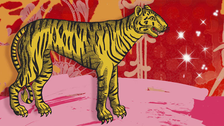 Лошадь и тигр — совместимость мужчины и женщины в любовных отношениях