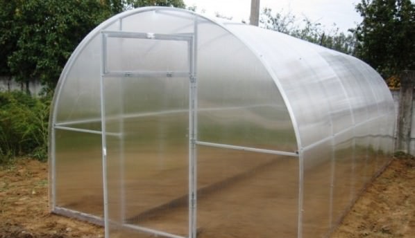 Лучшее от фирмы «теплицы севера»