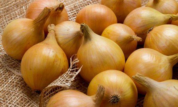 Лук севок: лучшие сорта и технология посадки