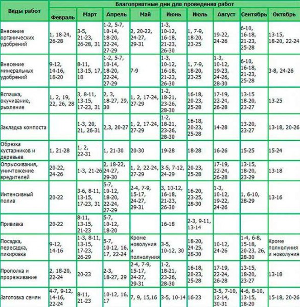 Лунный календарь посадки растений в 2017 году