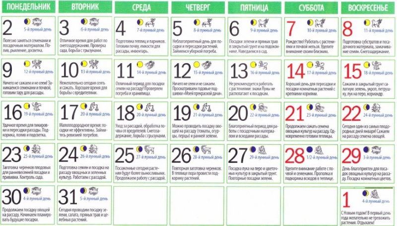 Лунный календарь посадки растений в 2017 году