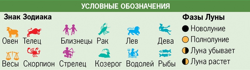 Лунный календарь работ для садоводов и огородников на август 2018 года