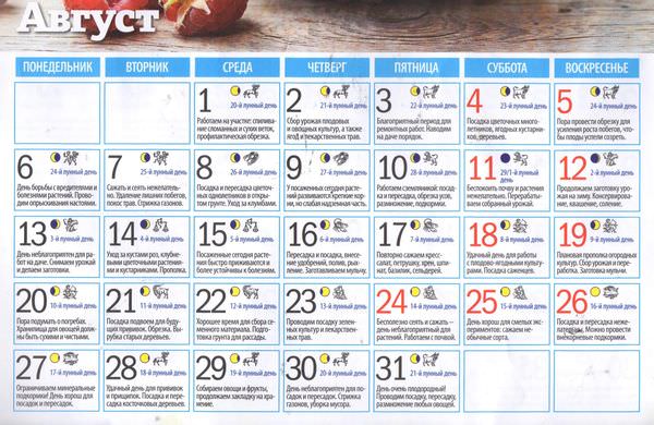 Лунный календарь работ для садоводов и огородников на август 2018 года