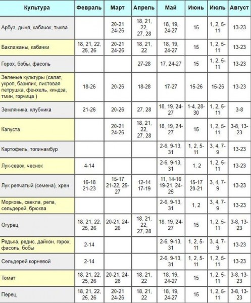 Лунный календарь садовода и огородника на ноябрь 2018 года