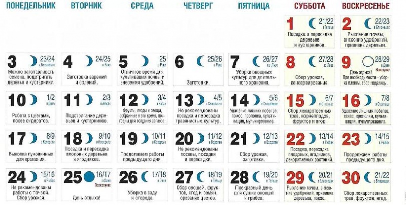 Лунный календарь садовода и огородника на сентябрь 2018 года