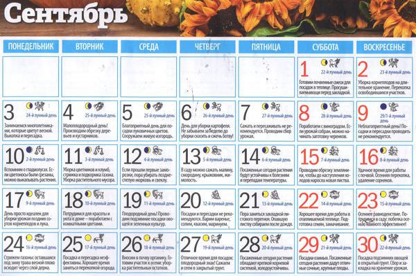 Лунный календарь садовода и огородника на сентябрь 2018 года