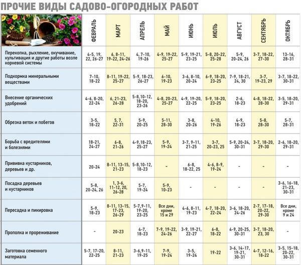 Лунный календарь высадки помидоров на 2018 год