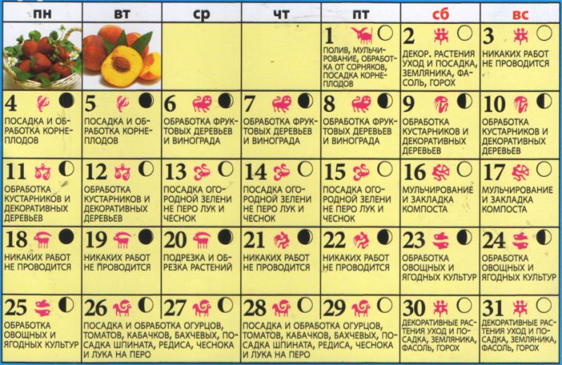 Лунный посевной календарь на декабрь 2018 года