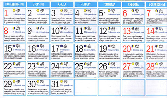 Лунный посевной календарь на январь 2018 года для садоводов и огородников