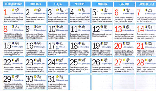 Лунный посевной календарь на январь 2018 года для садоводов и огородников