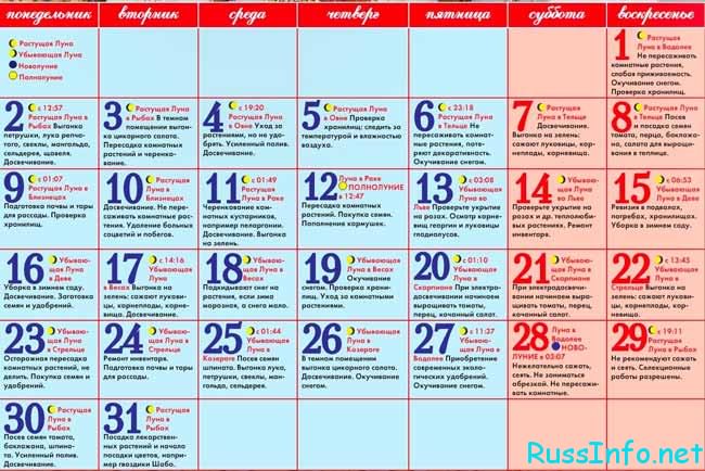 Лунный посевной календарь на январь 2018 года для садоводов и огородников