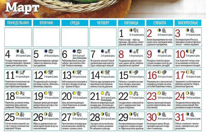 Лунный посевной календарь о сроках пересадки томатов в марте