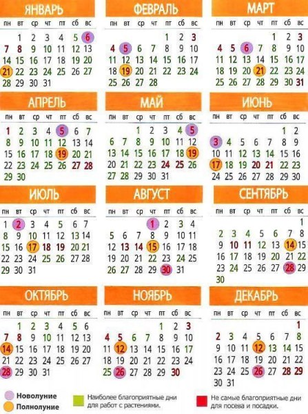 Лунный посевной календарь о сроках пересадки томатов в марте