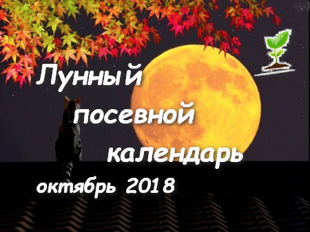 Лунный посевной календарь садоводов и огородников на октябрь 2018 года