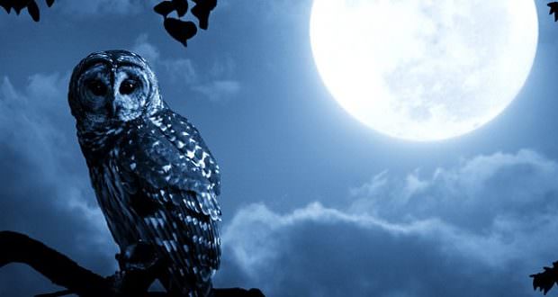 Магия карт: что означает появление 10 Пентаклей в Таро