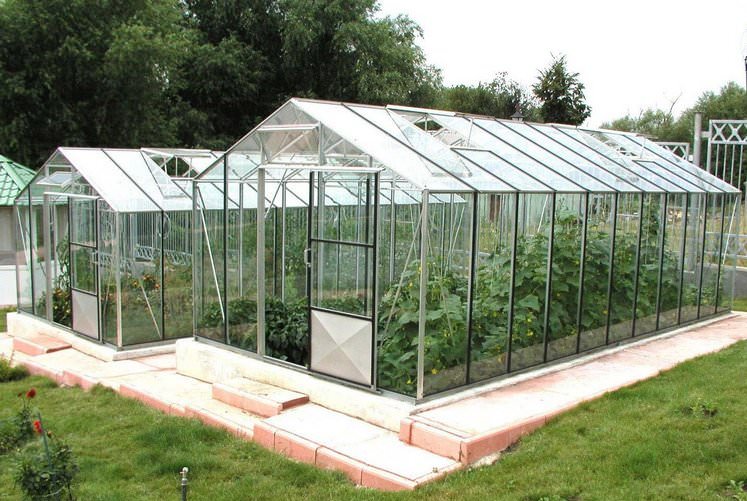 Маленькие теплицы: характеристика видов и особенности изготовления своими руками