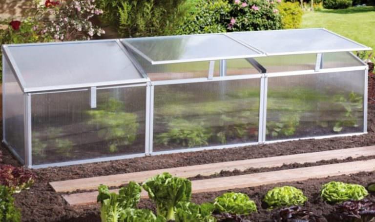 Маленькие теплицы: характеристика видов и особенности изготовления своими руками