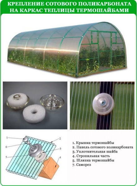 Методы крепления поликарбоната к теплице
