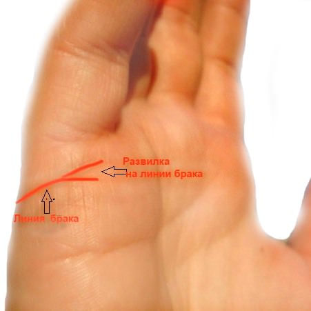 Можно ли определить пол будущего ребенка по линиям руки?