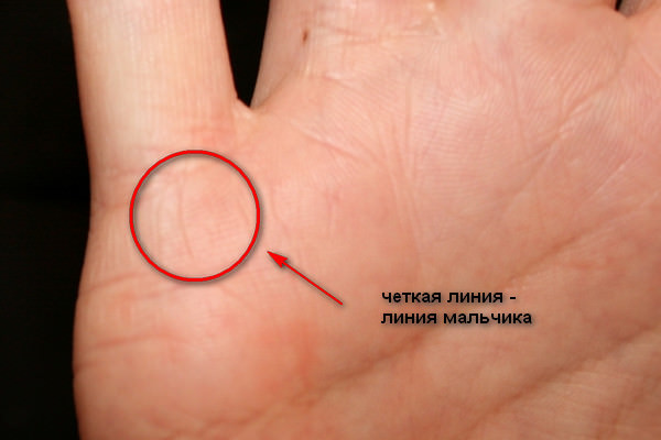 Можно ли определить пол будущего ребенка по линиям руки?