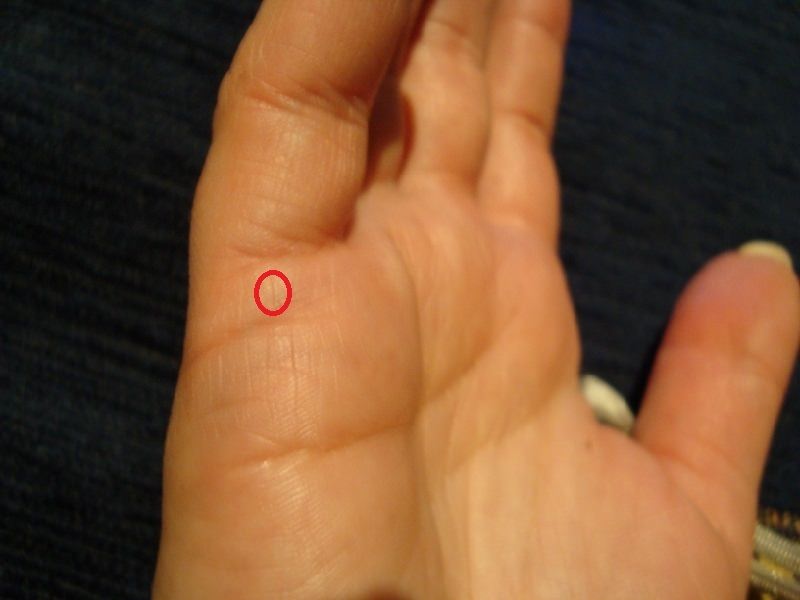 Можно ли определить пол будущего ребенка по линиям руки?