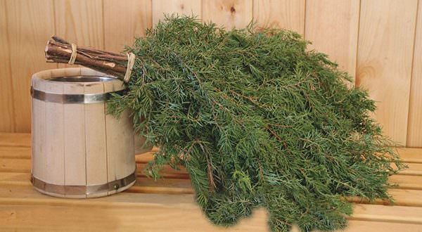 Можжевеловые веники для бани: как запарить веник из можжевельника, польза и вред – всё о банях