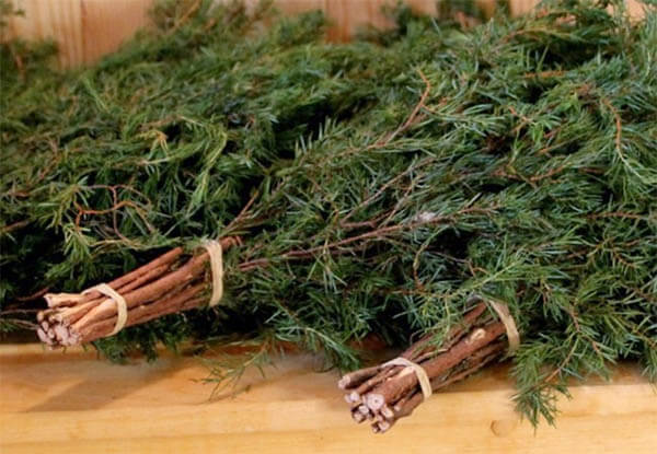 Можжевеловые веники для бани: как запарить веник из можжевельника, польза и вред – всё о банях