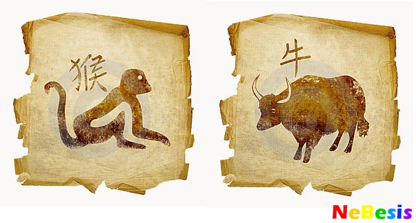 Мужчина Бык и женщина Бык — совместимость любовных отношений