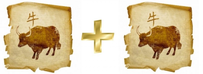 Мужчина Бык и женщина Бык — совместимость любовных отношений