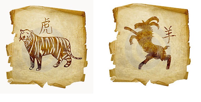 Мужчина Бык и женщина Бык — совместимость любовных отношений