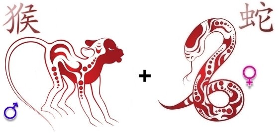 Мужчина-Змея — Обезьяна-женщина: плюсы и минусы союза