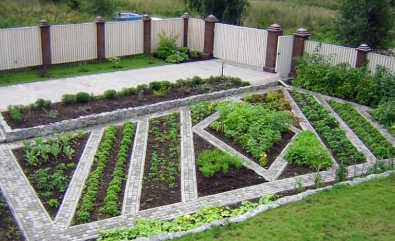 На каком расстоянии следует сажать различные культуры