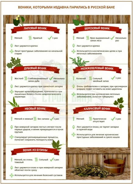 Национальные особенности русской бани: от руси до наших дней – всё о банях