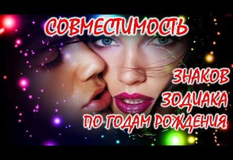 Насколько хорошая совместимость собаки с обезьяной?