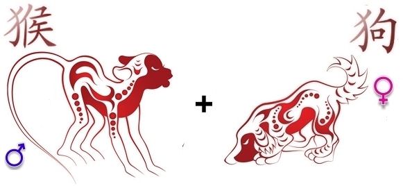 Насколько хорошая совместимость собаки с обезьяной?