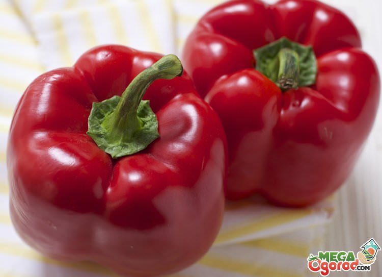 Насколько употребление в пищу сладкого перца полезно для здоровья?