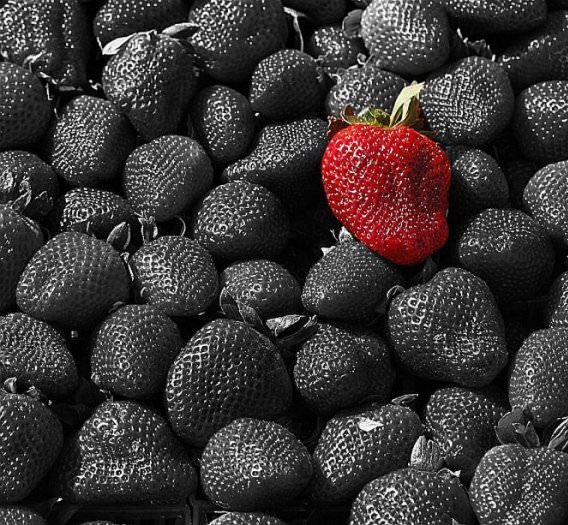 Необычная клубника черного цвета