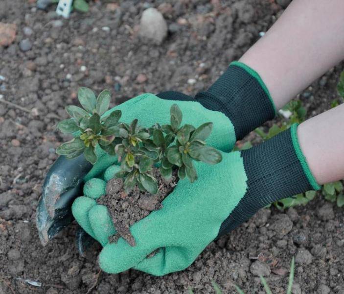Незаменимый помощник садовода — перчатки garden genie gloves