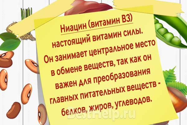 Никотиновая кислота какой это витамин
