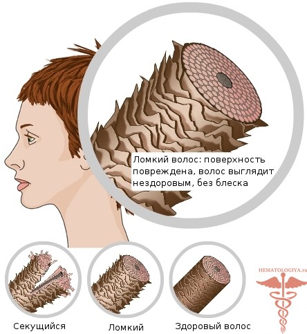 Норма калия в день