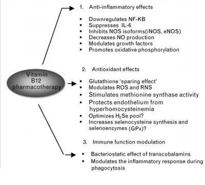 Норма витамина в12 в сутки