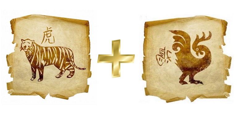 О совместимости петуха и тигра — подробное описание