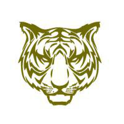 О совместимости петуха и тигра — подробное описание