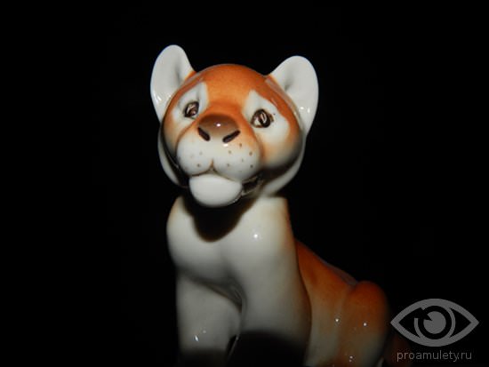 О совместимости петуха и тигра — подробное описание