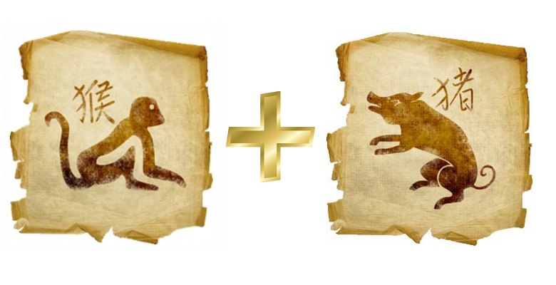 Обезьяна женщина и обезьяна мужчина — совместимость в любви