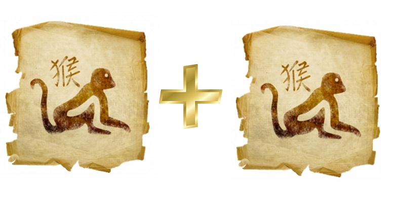 Обезьяна женщина и обезьяна мужчина — совместимость в любви