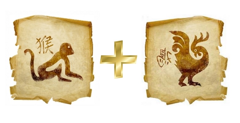 Обезьяна женщина и обезьяна мужчина — совместимость в любви