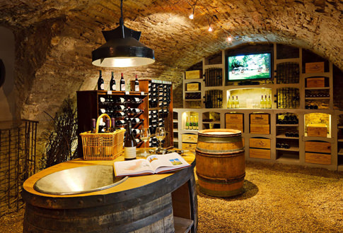 Обустройство подвала в доме: требования, правила, идеи оформления