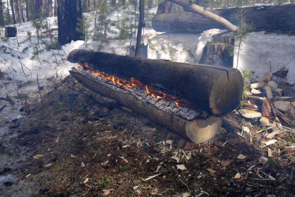 Обзор 10 видов костров: способы разведения и предназначение