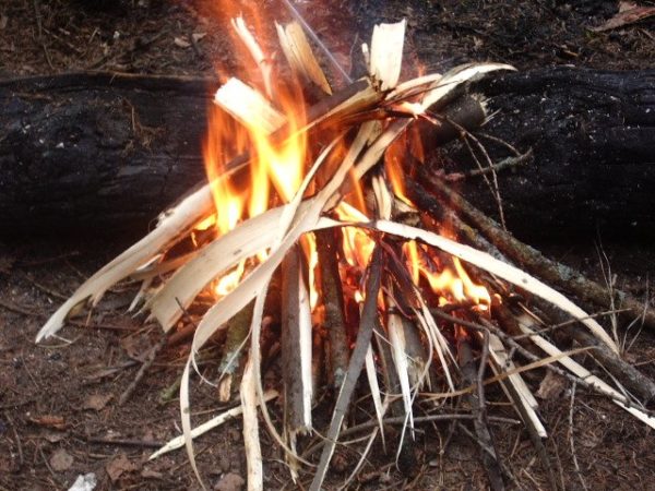 Обзор 10 видов костров: способы разведения и предназначение